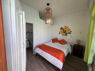 Hotel y Restaurante Miconia - 1