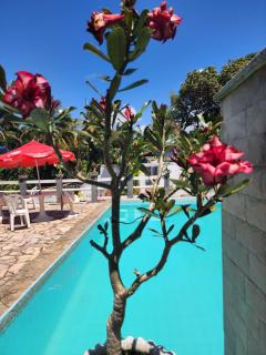 Solange apartment-Casa em Ilheus-Olivença - 7