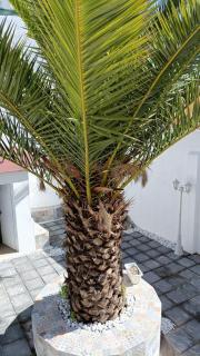 A house with a garden, garage, sauna, and jacuzzi - 9