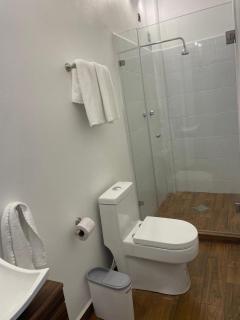 Granja & Vivero Lavanda - 6