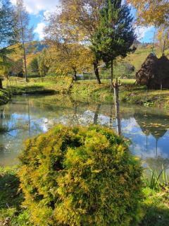 Забрус насолоди - 1