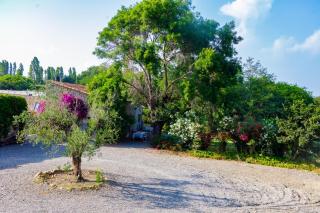 Suite du Domaine Marquiliani - 5