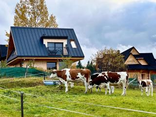 Domek Tatry - Stacja Wierchowa 972 m - 5