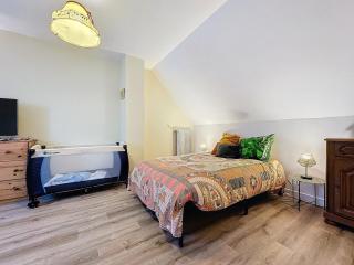 Family home close to Chantilly, Astérix, CDG - 3