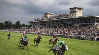 Large house near Chantilly & CDG - Chaumontel - 5