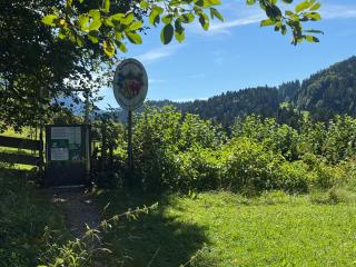 ciao-aschau Grenzhub FeWo 308 Förster - 5