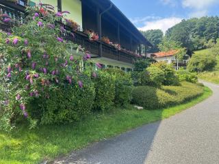 ciao-aschau Gschwendtnerhof Ap16 Bunk - 7