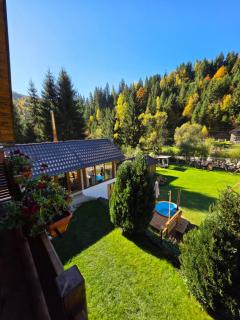 Cabana Ioana-Horea - Horea - 8