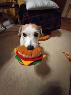 Ferienwohnung Timmestrand - 3