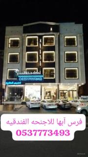 فرس أبها حي الموظفين شارع البديع - 9