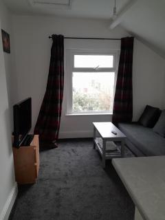 Canton Principality Stadium Studio Apartment - 4