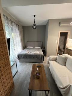 Μοντέρνο στούντιο στη δάφνη - 9