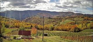 Brvnare Kušići - 7