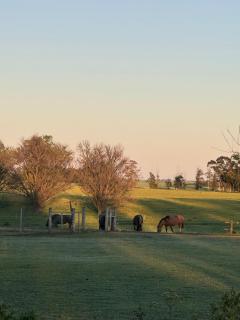 El Caburé - Casa de Campo - 9