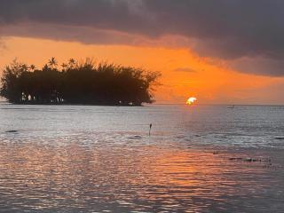 Plage privée - Vahine Ori Lodge - 9