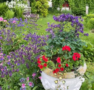 FeWo im Dreiländereck - 1