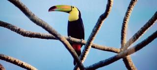 Hidden Paradise Belize - 8