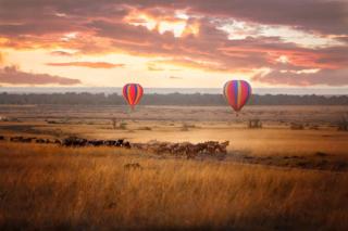 Orpul safaris camp - 5
