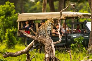 Orpul safaris camp - 7