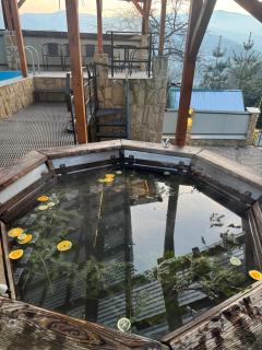 Котедж "ГІРСЬКА РОСА" Яремче Чан Басейн - 3