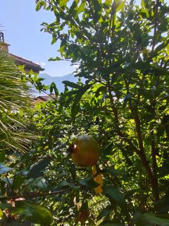 Bella casa con vista panoramica - 1