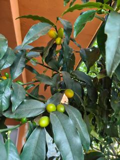 Bella casa con vista panoramica - 1