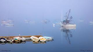 Serenity By the Sea - 9