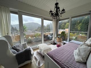 Apartment in Bad Herrenalb - 0