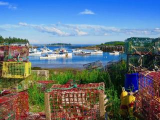 Saltwater Serenade - 7