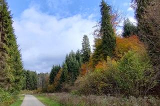 Szept - Biały Domek - 4