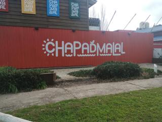 Sueño Dorado Container - 9