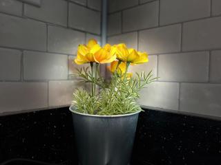 Center of everything, art, beach and culture in santurce - 7