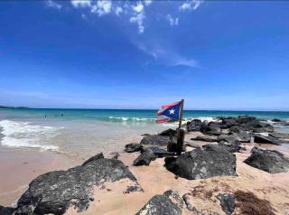 Center of everything, art, beach and culture in santurce - 5