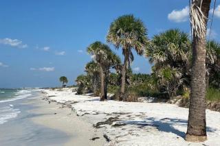 Cozy Coastal Cottages of Dunedin 4 - 2