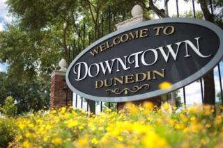 Cozy Coastal Cottages of Dunedin 4 - 5