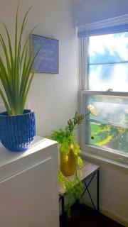 Ana Maria del Corona - 8