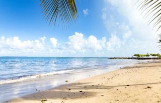 AQUA Terrazas Studio 4 - Oceanfront, Pool & Terrace Views - 9