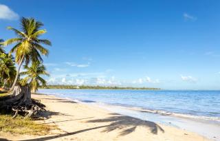 AQUA Terrazas Studios 4&5 - Oceanfront Duo Retreat with Pool - 4