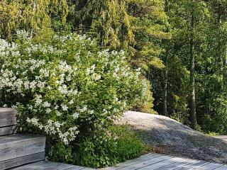Peaceful Island Home near Sea - 6