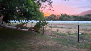 Lismore Cottages Swellendam - 7