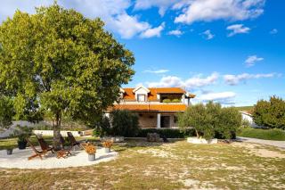 My Dalmatia - Villa Marijana with private pool - Radonić - 1