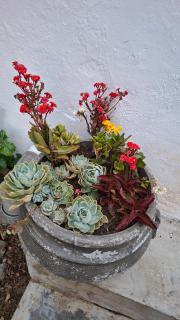 Lismore Cottages Swellendam - 6