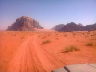 Wadi rum nights - 4