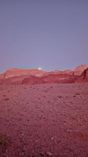 Ayed Wadi Rum camp - 2