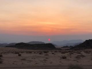 Wadi rum nights - 1