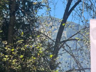 ciao-aschau FeWo Chiemgau Gastner - 8