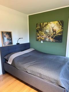 Wohnung mitten im Salzkammergut - 1