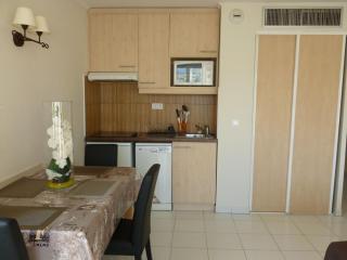 Studio vue exceptionnelle sur Port Frejus - 9