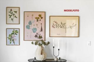 816-Harboore-Neerlandiavej-63 - 4