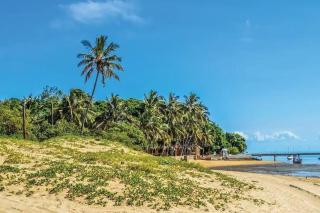 Projeto ajuda o seu próximo - 3